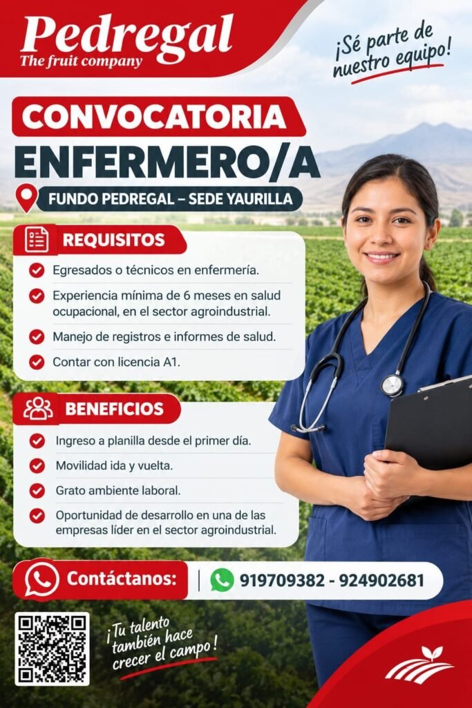 Motofurgón y Enfermero/a – Pedregal – Fundo Pedregal (Yaurilla y Brujos) - Imagen 2