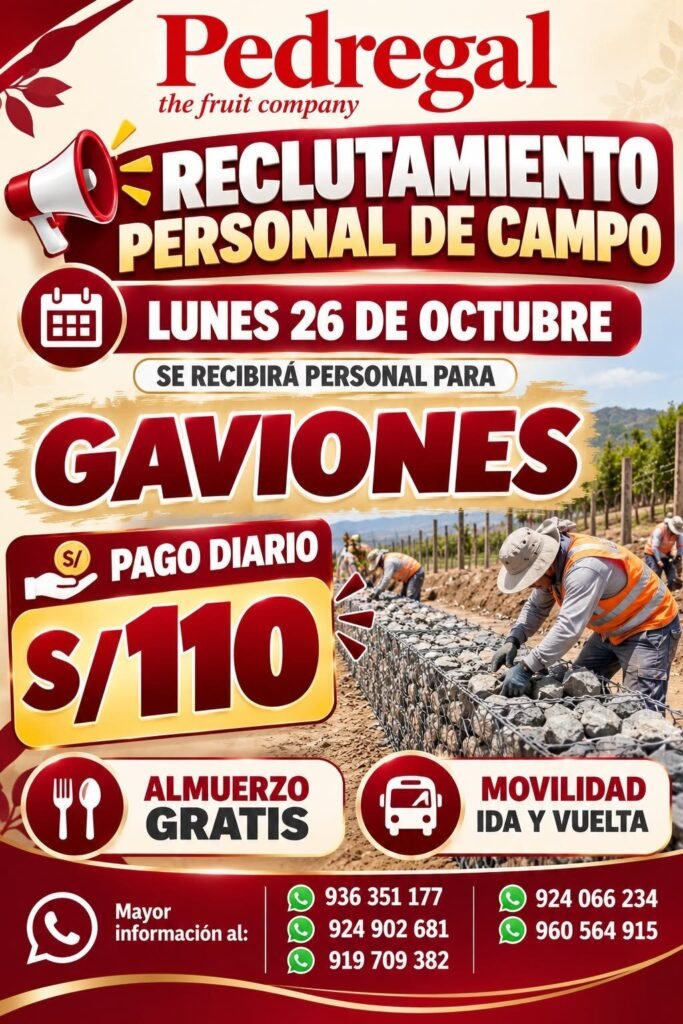 Personal para Gaviones – Pago diario S/ 110 (Pedregal) - Imagen 1