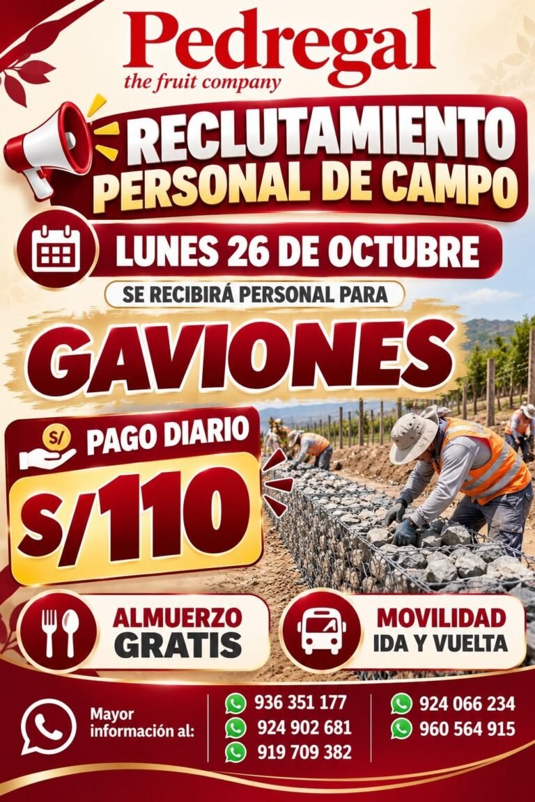Personal para Gaviones – Pago diario S/ 110 (Pedregal)