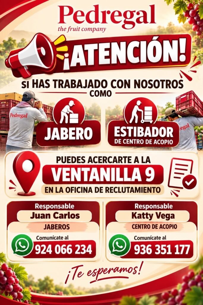 PEDREGAL – JABEROS Y ESTIBADORES DE CENTRO DE ACOPIO (ICA) - Imagen 1