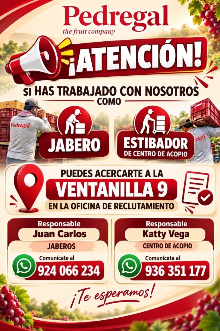 PEDREGAL – JABEROS Y ESTIBADORES DE CENTRO DE ACOPIO (ICA)