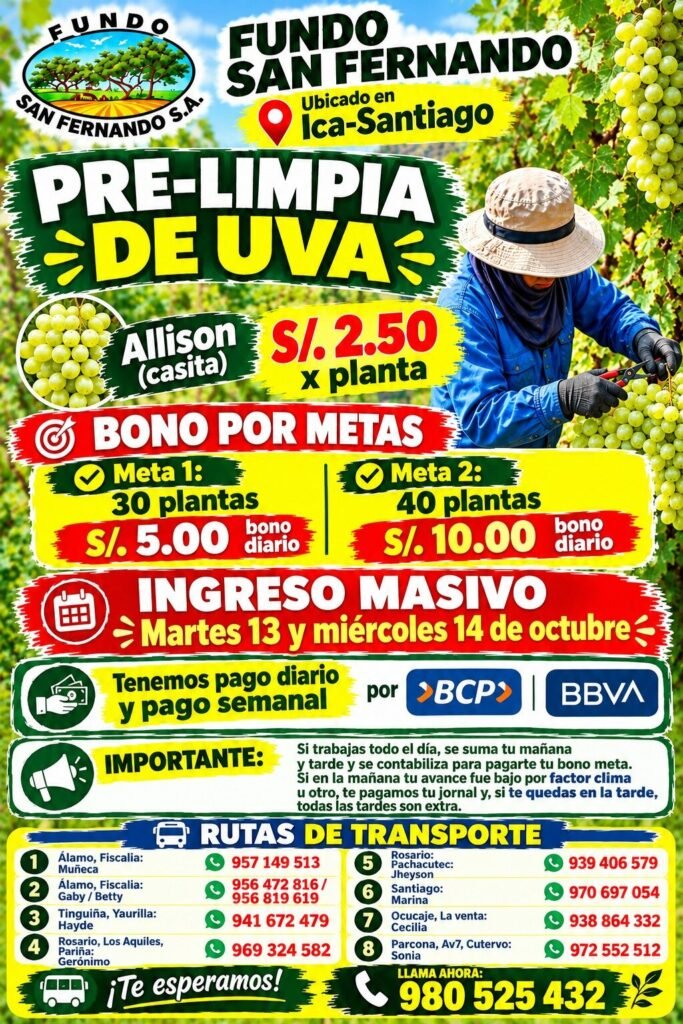prelimpia de uva - Imagen 1