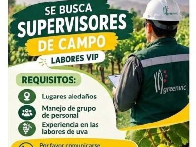 Supervisores de Campo para Producción de Uva en Ica