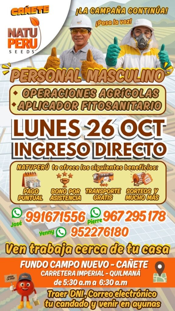 Trabajo en Natu Perú por campaña - Imagen 2