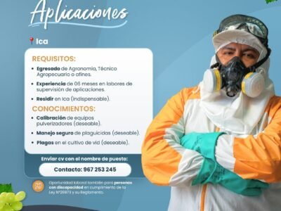 Inspector de Aplicaciones