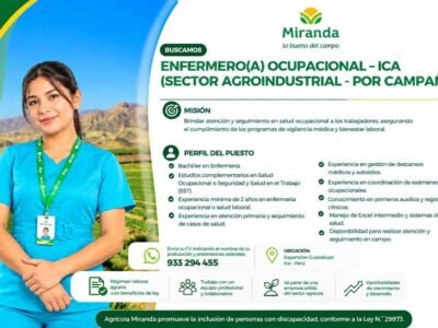Enfermera ocupacional
