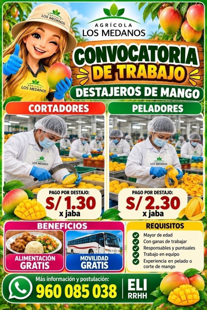 convocatoria de trabajo - Imagen 4