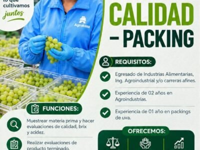 Control de Calidad – Packing