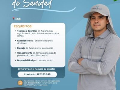 Analista de Sanidad