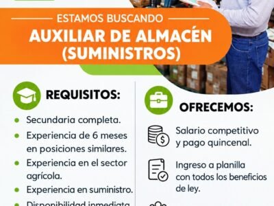 Auxiliar de montacarguistas