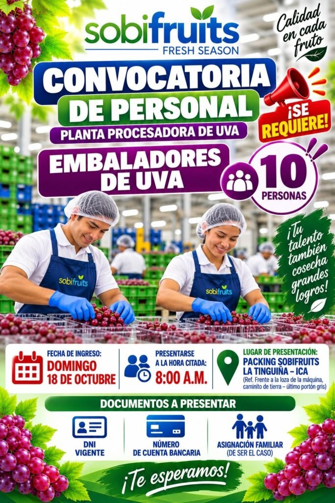 Embaladores de Uva en Packing Sobifrut, La Tinguña – Ica