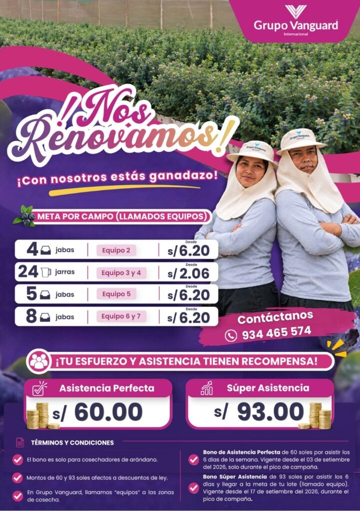 Cosechadores de Arándano
