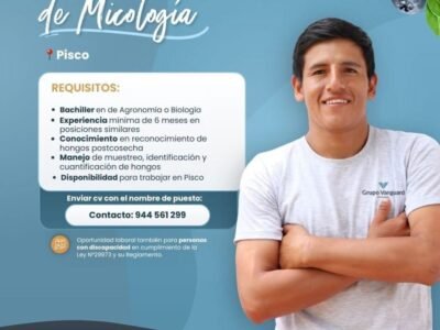 TÉCNICO DE LABORATORIO DE MICOLOGÍA – PISCO