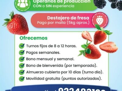 Operarios de Producción C/S experiencia