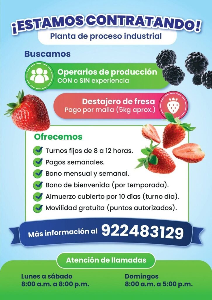 Operarios de Producción C/S experiencia - Imagen 1