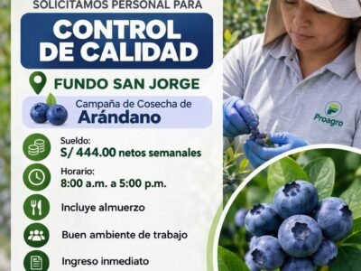 Control de calidad