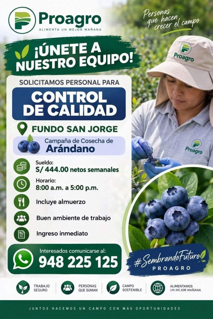 Control de calidad