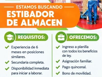 Estibador de Almacén – Ica