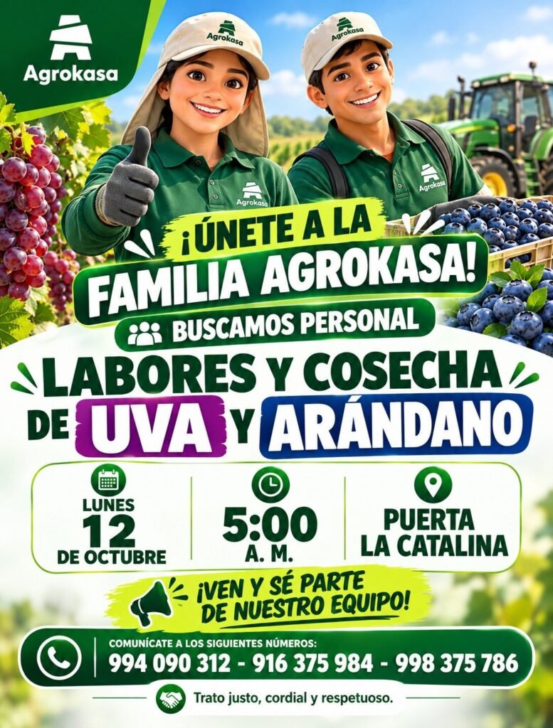 Labores de cosecha de uva y arándano - Imagen 1