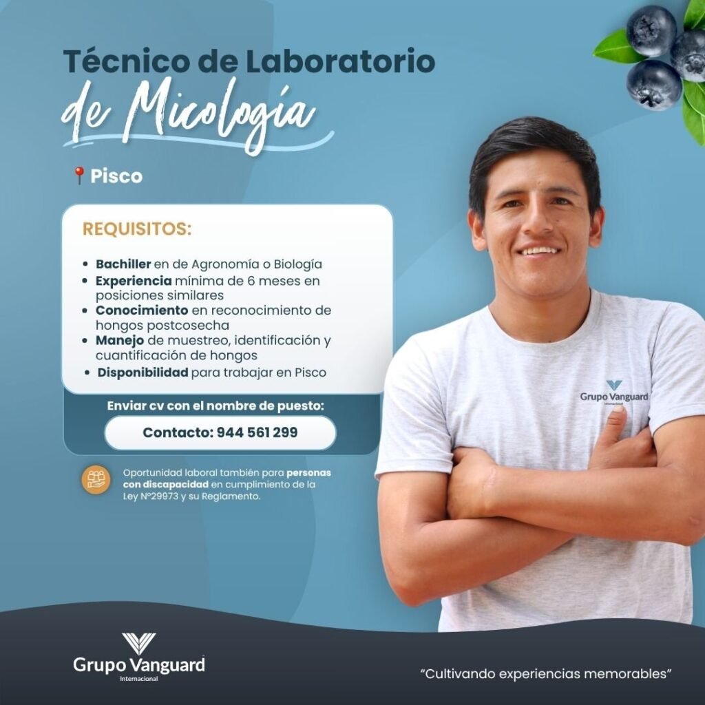 TÉCNICO DE LABORATORIO DE MICOLOGÍA – PISCO - Imagen 1