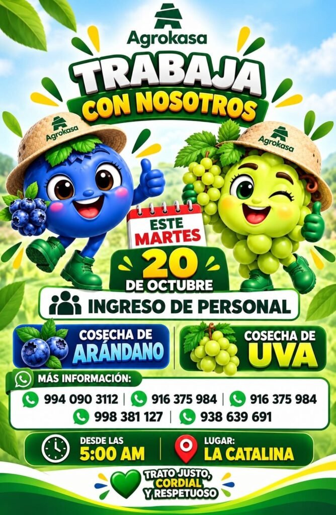 Cosechadores de Arándano y Uva en La Catalina, Ica - Imagen 1