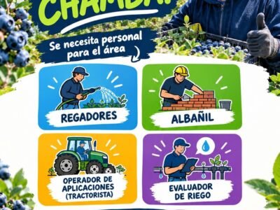 Operadores de Aplicaciones y Regadores en Reiter Peruvian Berry