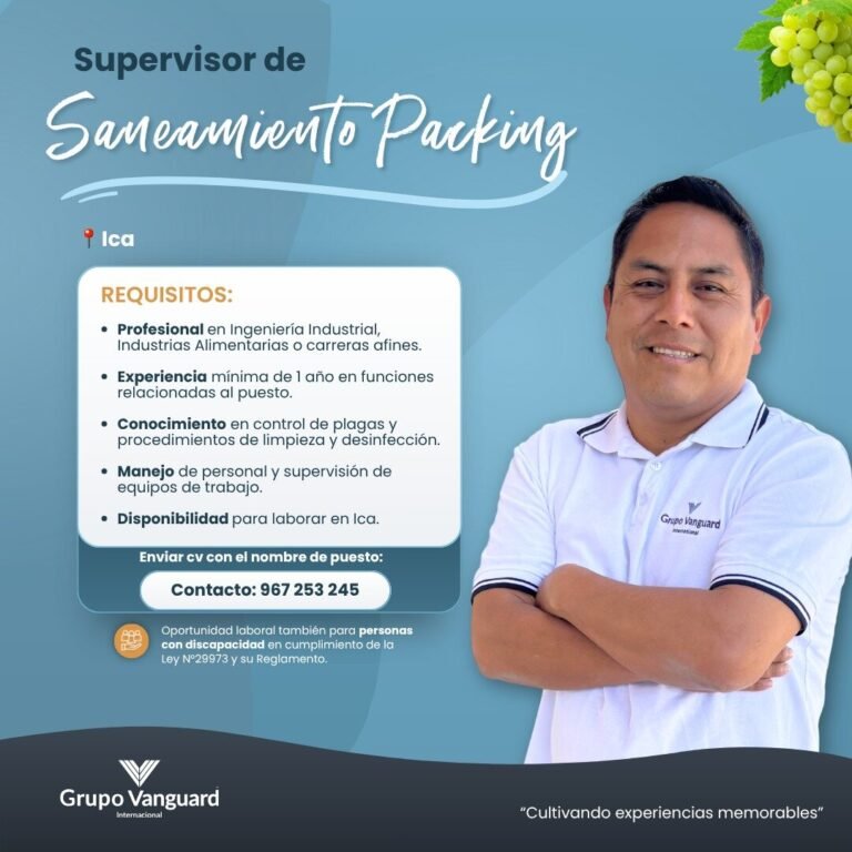 Supervisor Saneamiento