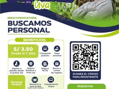 Cosechadores de uva en Agrokasagrande
