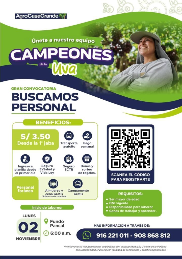 Cosechadores de uva en Agrokasagrande - Imagen 1