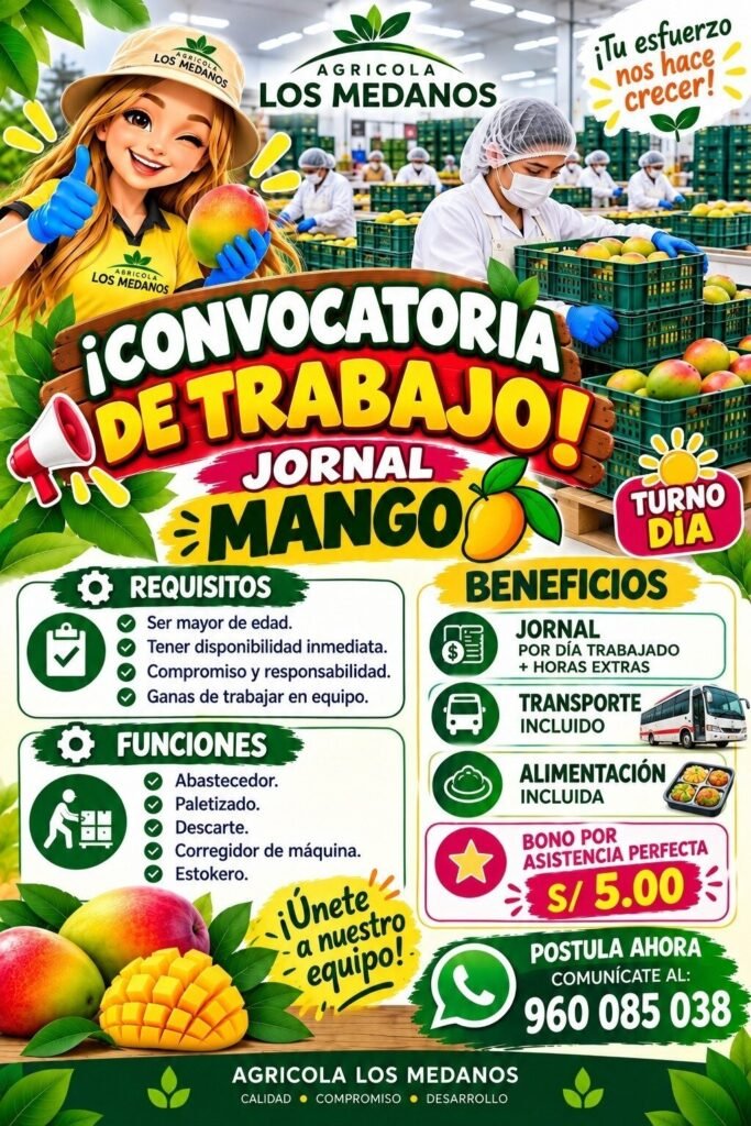 convocatoria de trabajo - Imagen 2