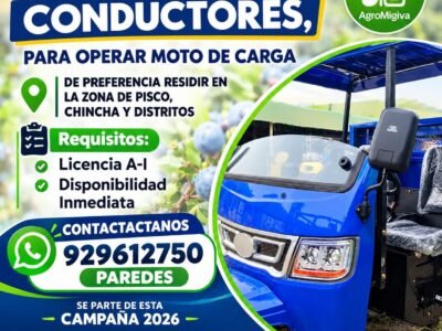 Conductores para Moto de Carga en Pisco y Chincha
