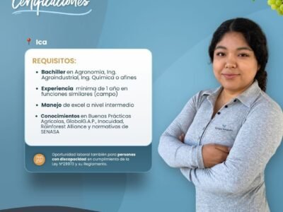 Auxiliar de Certificaciones