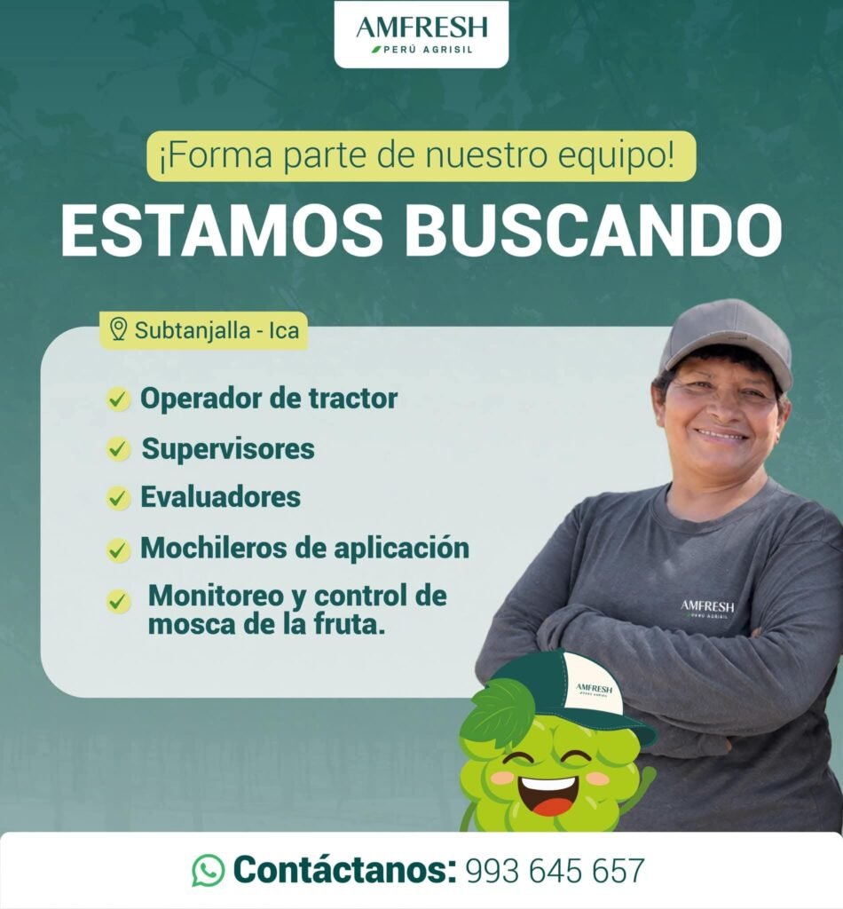 Supervisores, evaluadores y 2 trabajos más en Agrisil