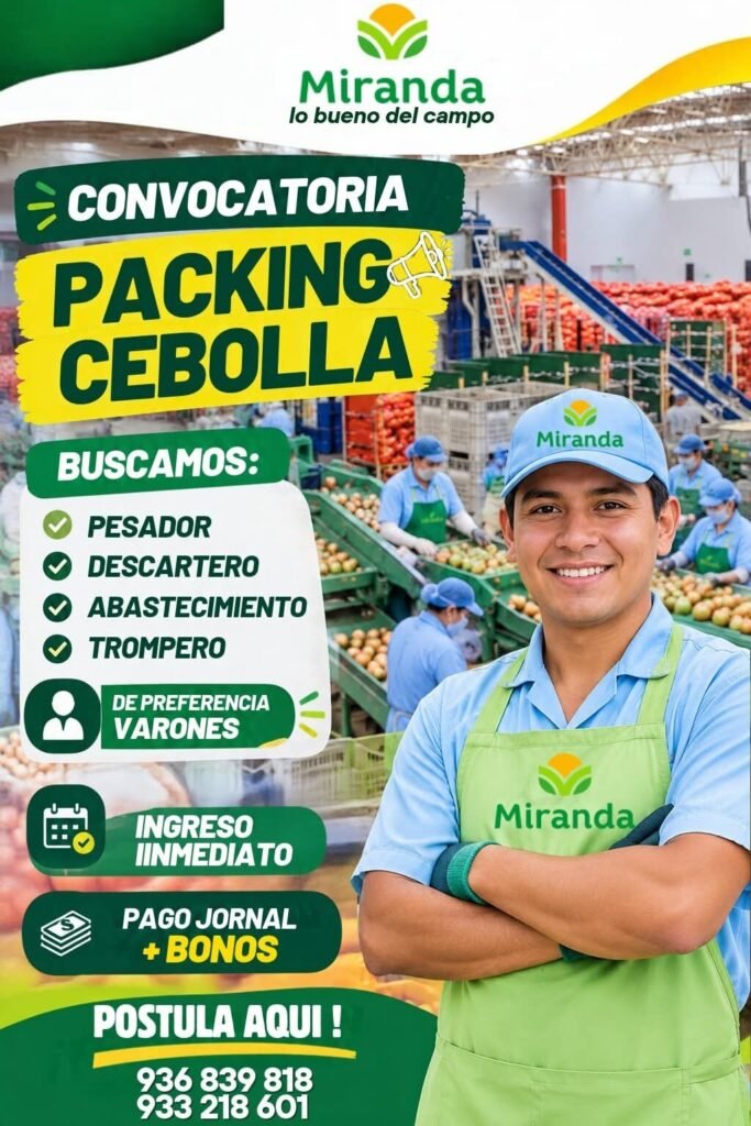 Packing de cebolla - Imagen 1