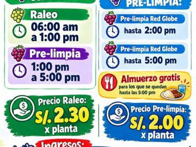 Raleo y prelimpia de uva