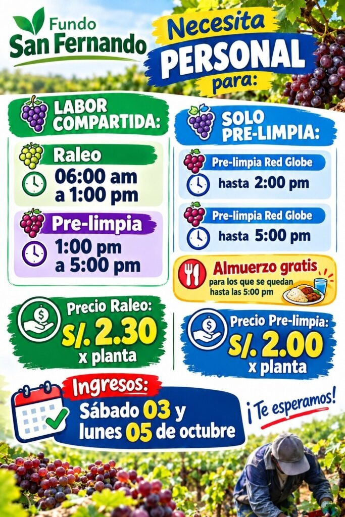 Raleo y prelimpia de uva - Imagen 1