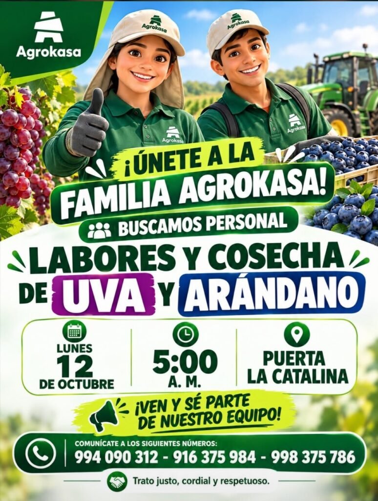 Personal para Cosecha de Uva y Arándano en Puerta La Catalina, Ica - Imagen 1
