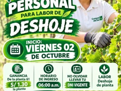 Personal de deshoje