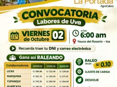 Labores de uva