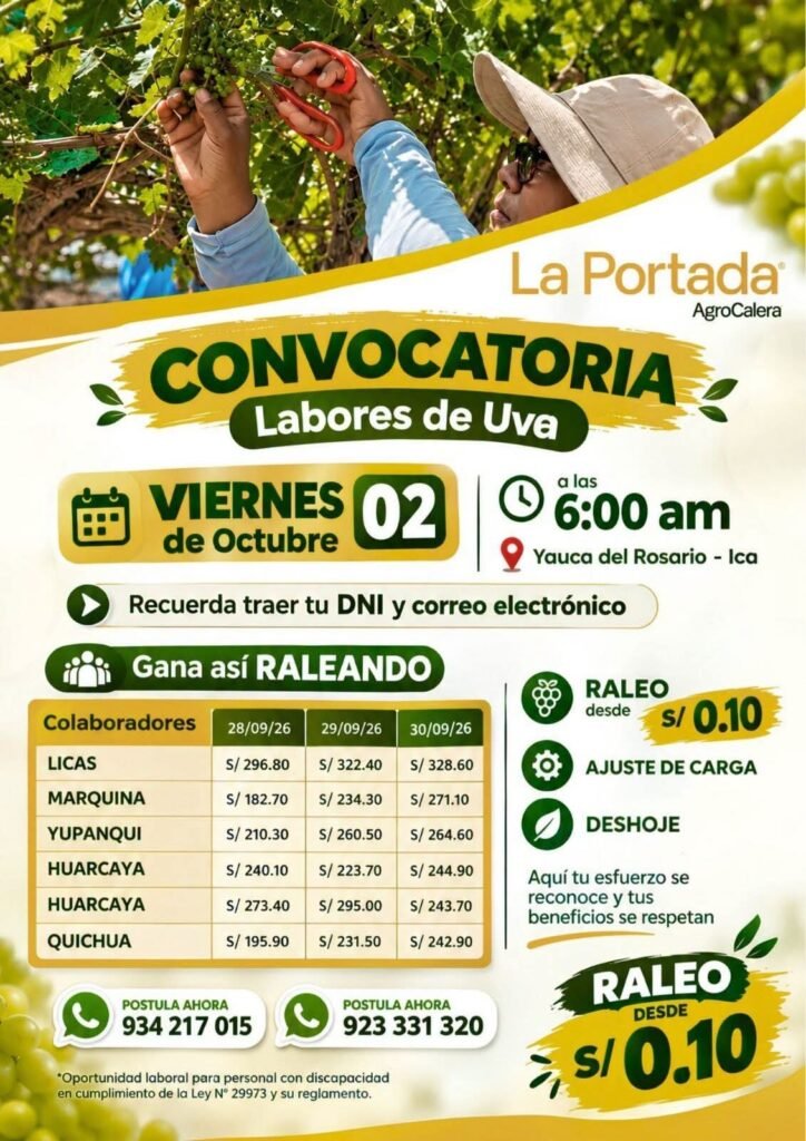 Labores de uva