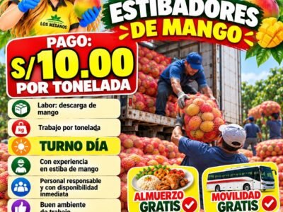 Estibadores de Mango para Trabajo en Ica