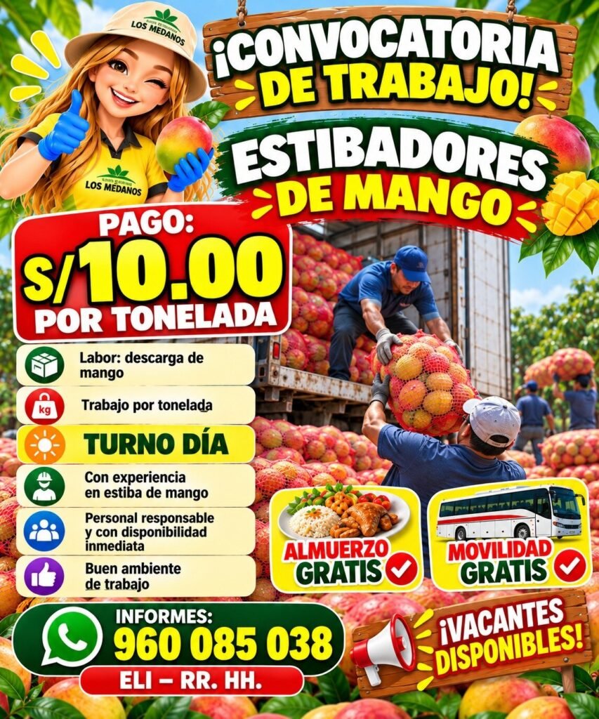 Estibadores de Mango para Trabajo en Ica - Imagen 1