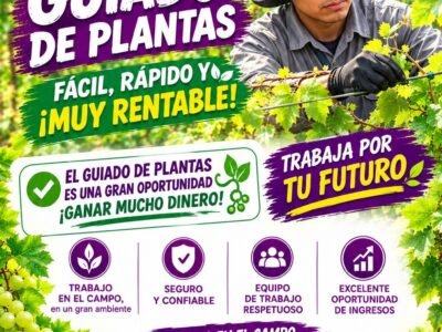 Guiado de plantas