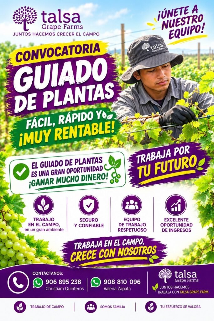 Guiado de plantas - Imagen 1