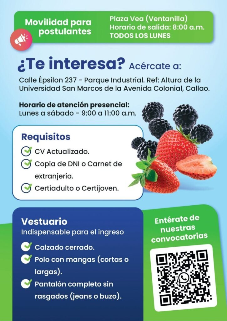 Operarios de Producción C/S experiencia - Imagen 2