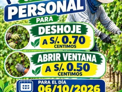 Personal para Deshoje y Apertura de Ventanas en Ica