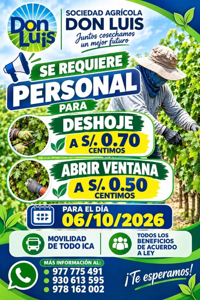 Personal para Deshoje y Apertura de Ventanas en Ica - Imagen 1