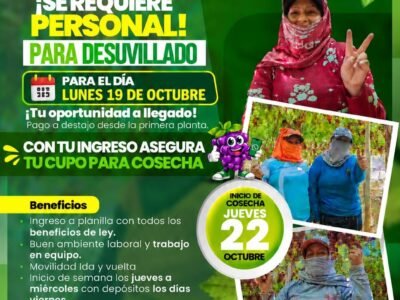 Personal para Desuvillado en Tinguiña, Ica