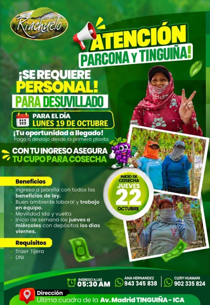 Personal para Desuvillado en Tinguiña, Ica - Imagen 1