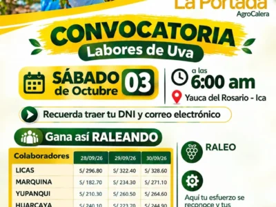 Raleo de uva en AGROCALERA